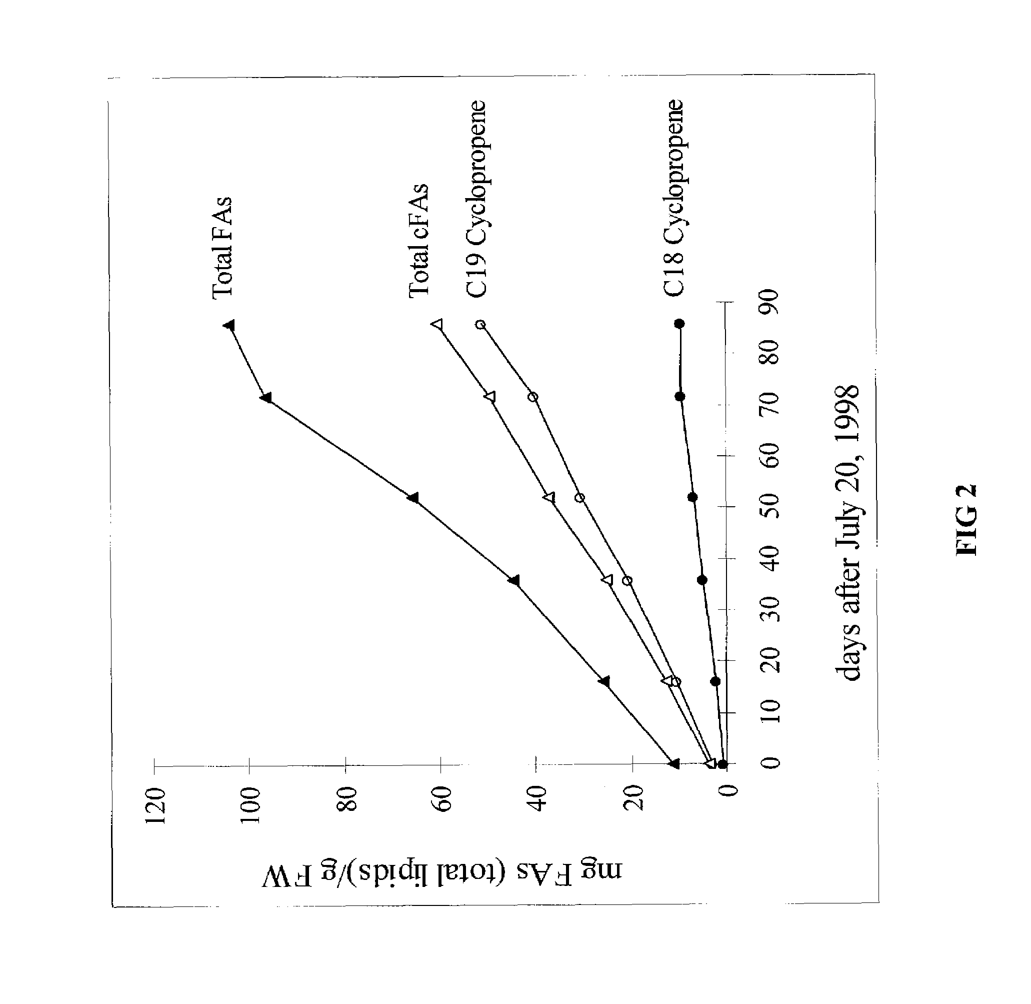 Plant cyclopropane fatty acid synthase genes, proteins, and uses thereof