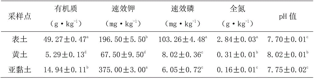 Preparation method of improved substituted surface soil material for open pit coal mine