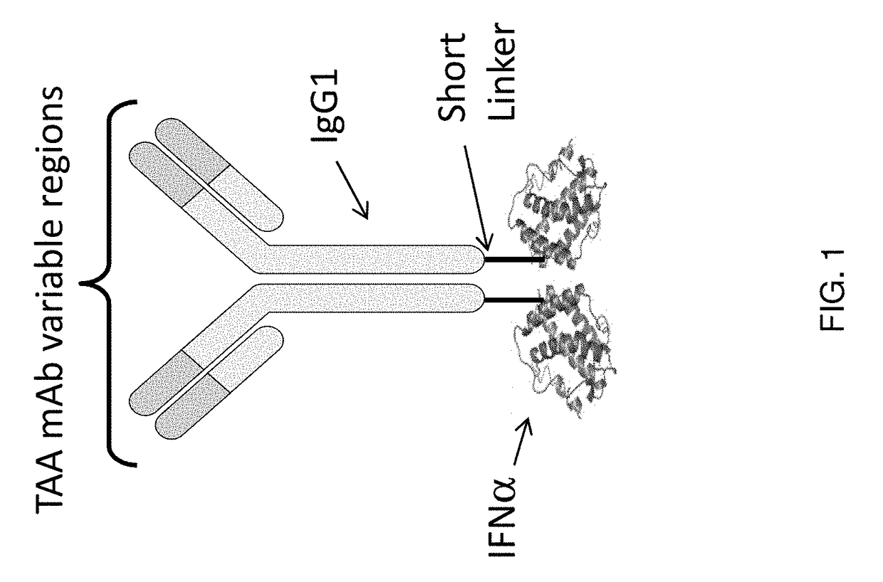 Focused interferon immunotherapy for treatment of cancer