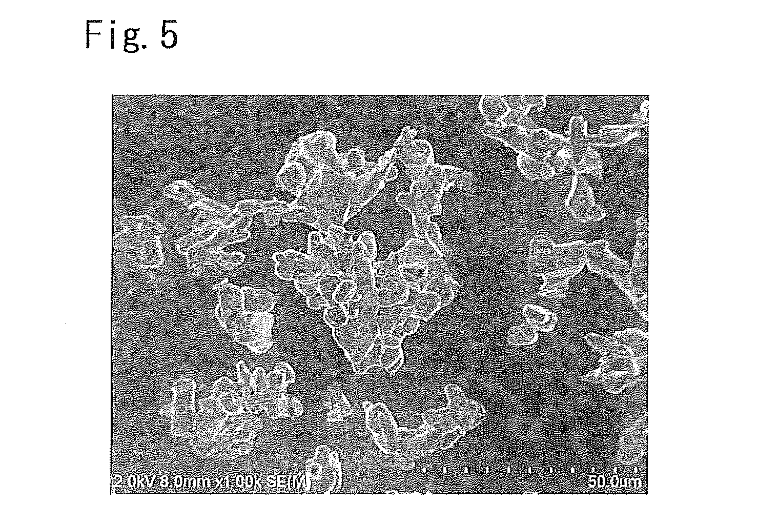 Method and apparatus for treating wastewater containing radioactive strontium