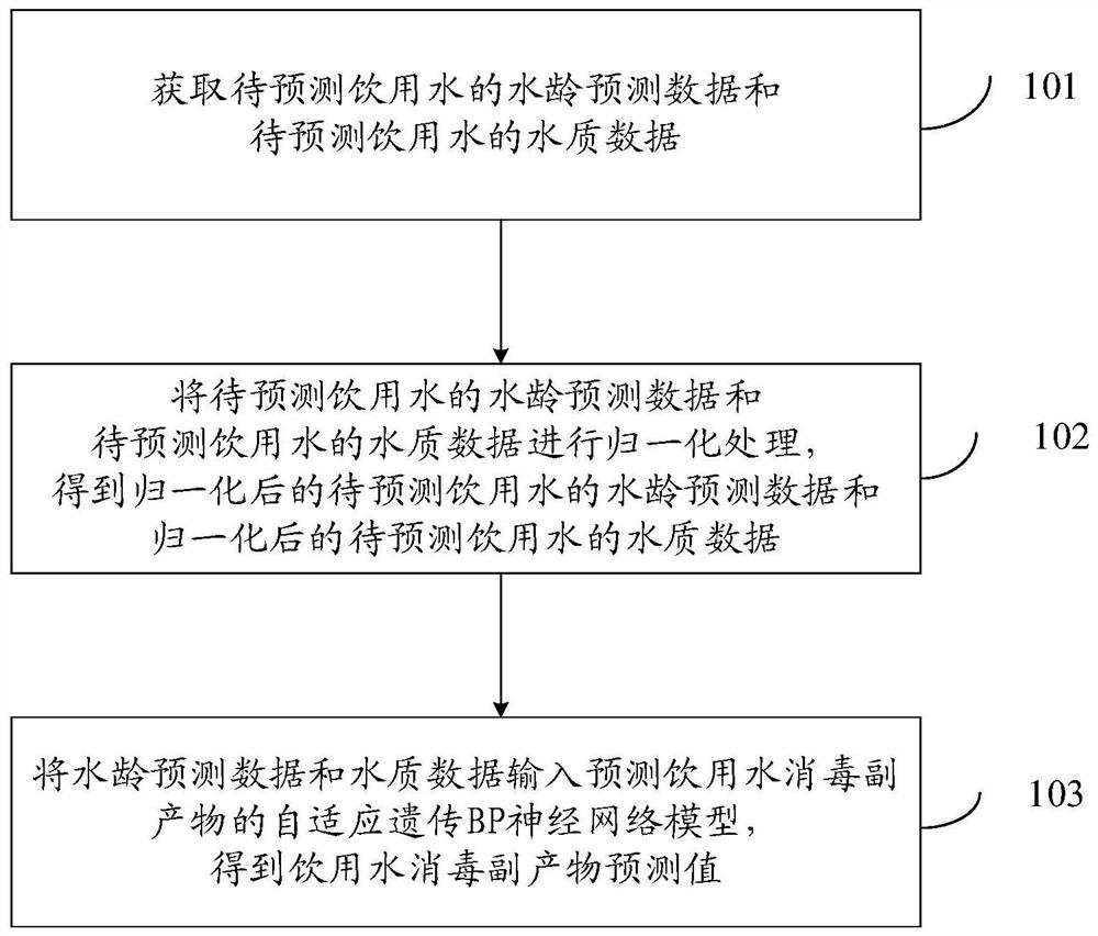 Drinking water disinfection byproduct prediction method and system