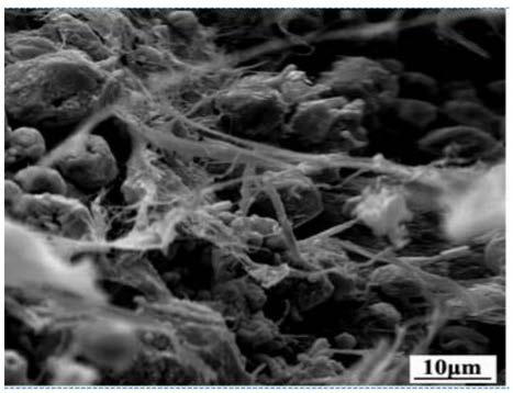 Preparation method of recoverable and regenerable carbon net combined powder non-metal mineral porous water purifying material