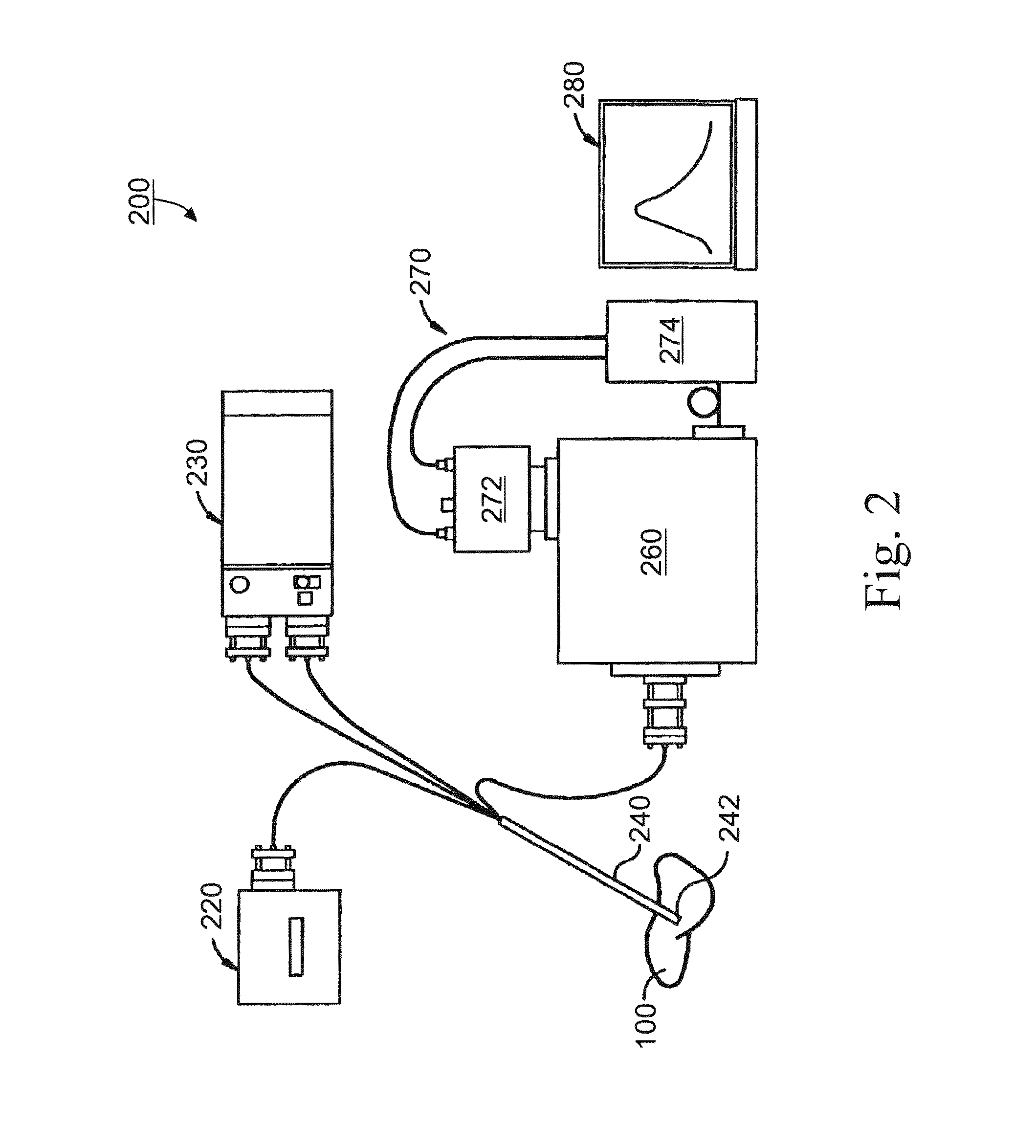 Methods and Apparatus for Optical Spectroscopic Detection of Cell and Tissue Death