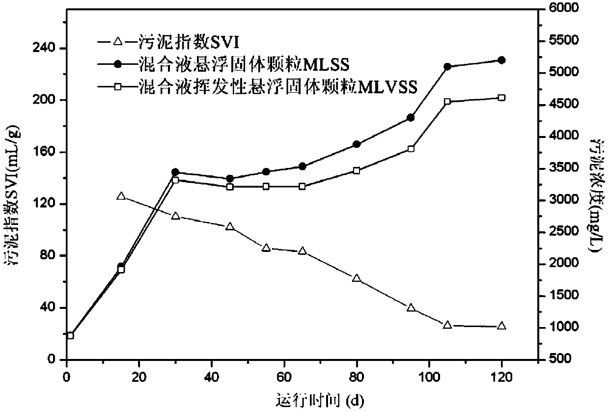 Aerobic granular sludge with pyridine degradation function as well as cultivation and application thereof
