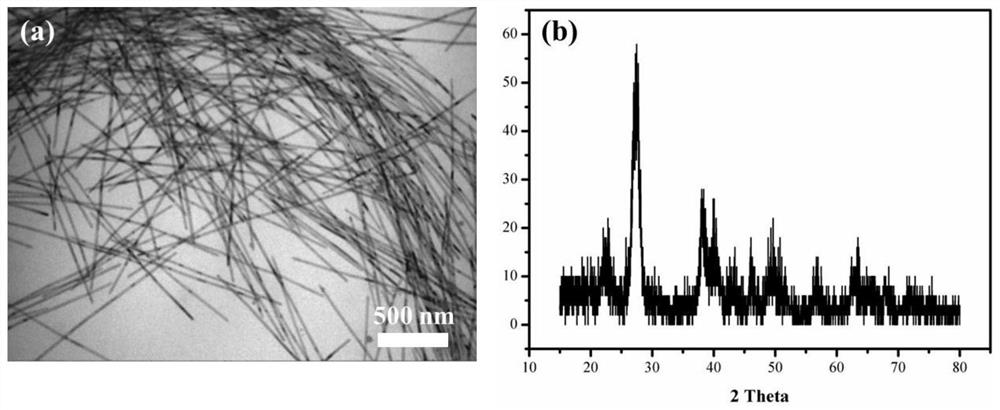 Component-controllable Bi-Te-Se ternary nanowire and preparation method thereof