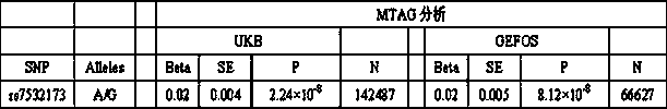 Kit for detecting juvenile osteoporosis based on rs7532173