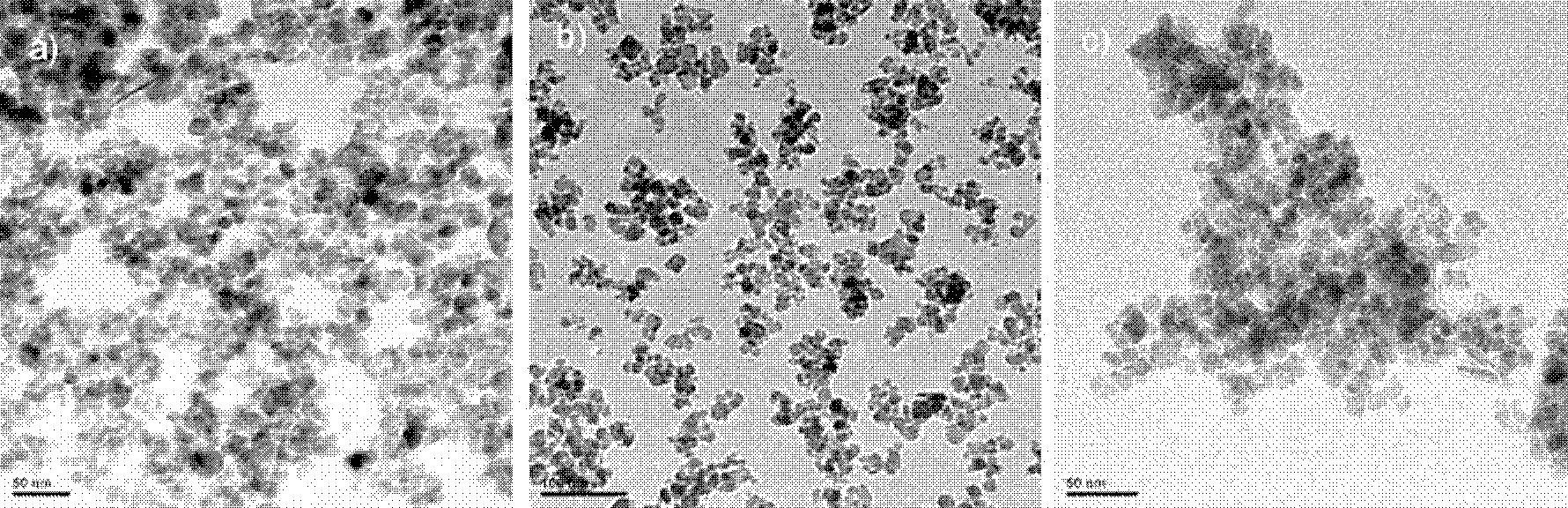 Crotonic acid and acrylic acid copolymer modified ferroferric oxide nano granules with silicon structure as well as preparation and application thereof