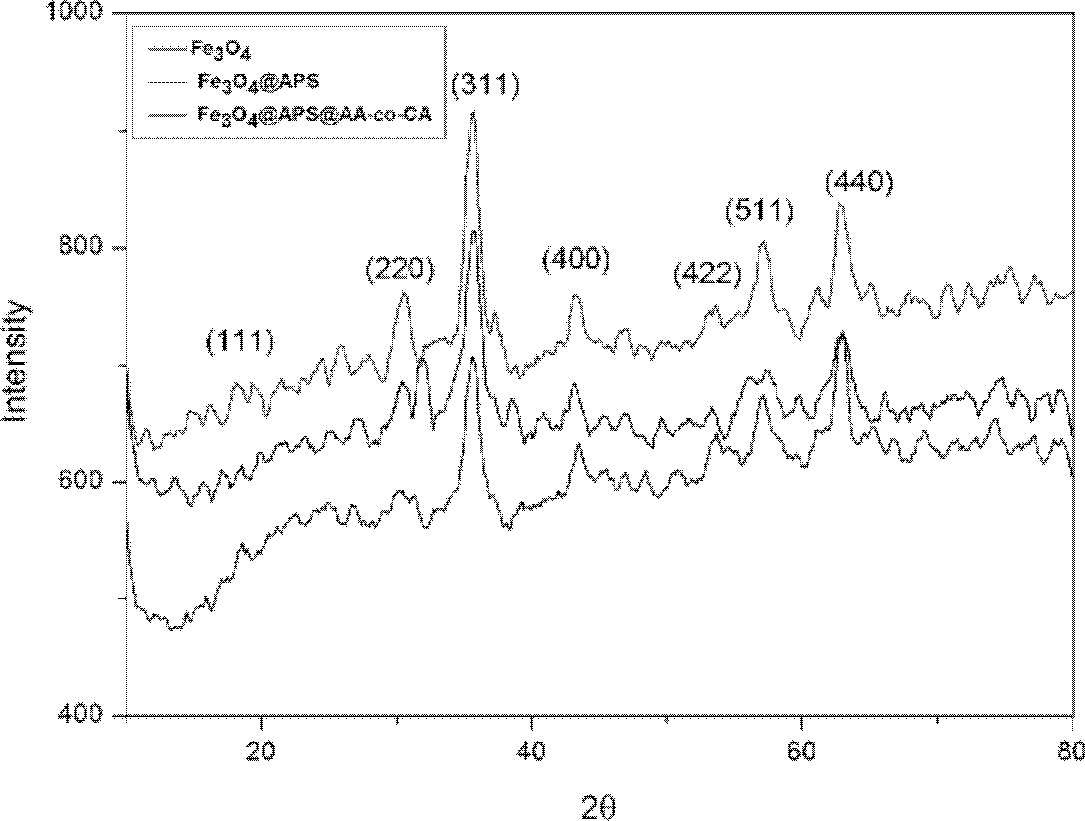 Crotonic acid and acrylic acid copolymer modified ferroferric oxide nano granules with silicon structure as well as preparation and application thereof