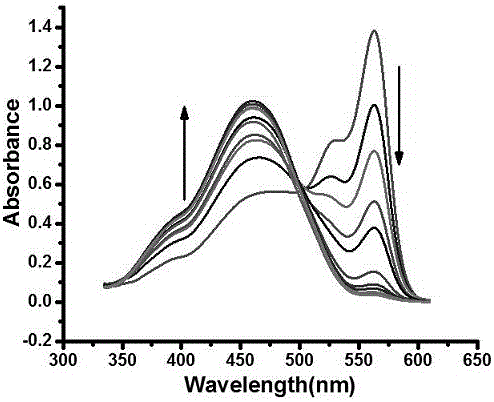 Rate type difunctional fluorescence molecular probe for detecting HSO4- ions, SO2 and derivatives thereof