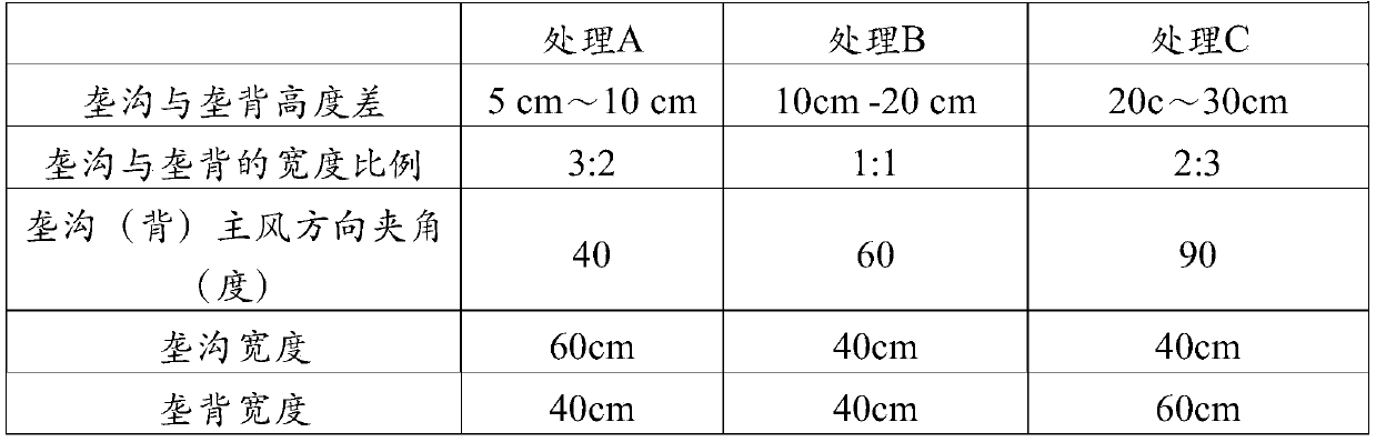 Vegetation planting method in windy and sandy areas