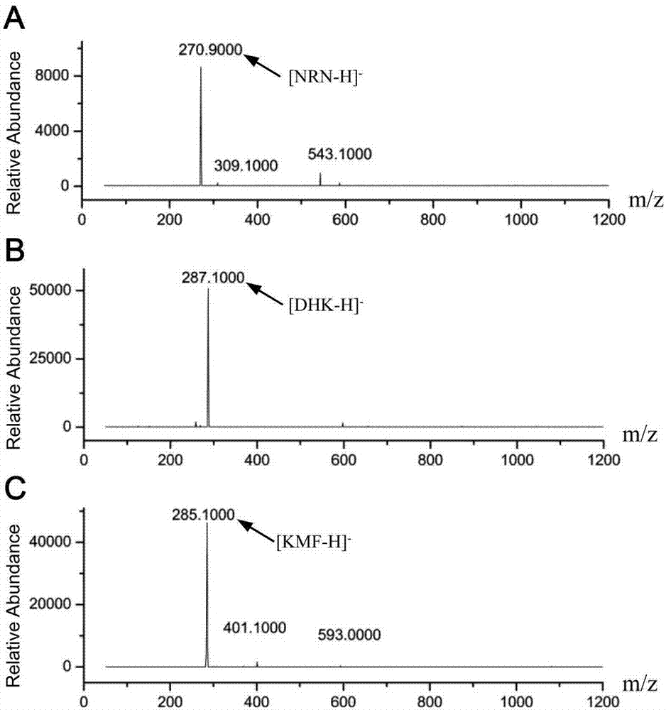 Method for enzymic synthesis of kaempferol