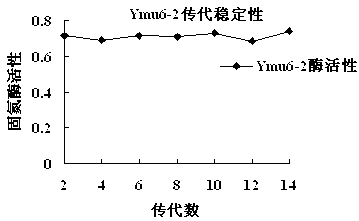 Agrobacteriumsp. having free-living nitrogen fixing ability, and applications thereof