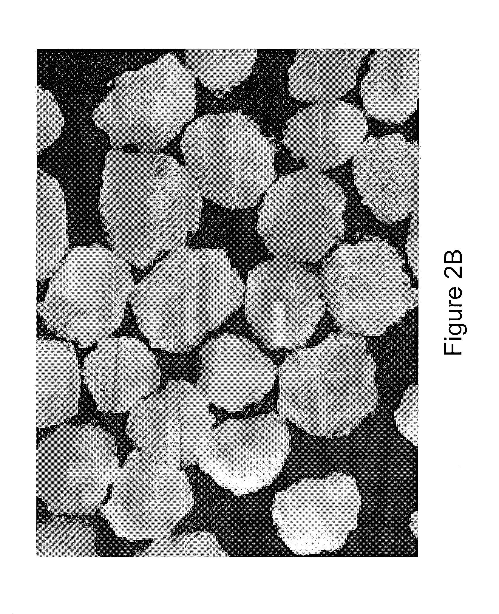 Micropellet compositions comprising pancreatin containing digestive enzyme mixture