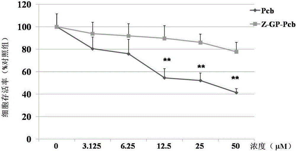 Antitumor compound targeting FAP-alpha enzyme and preparation method and application thereof