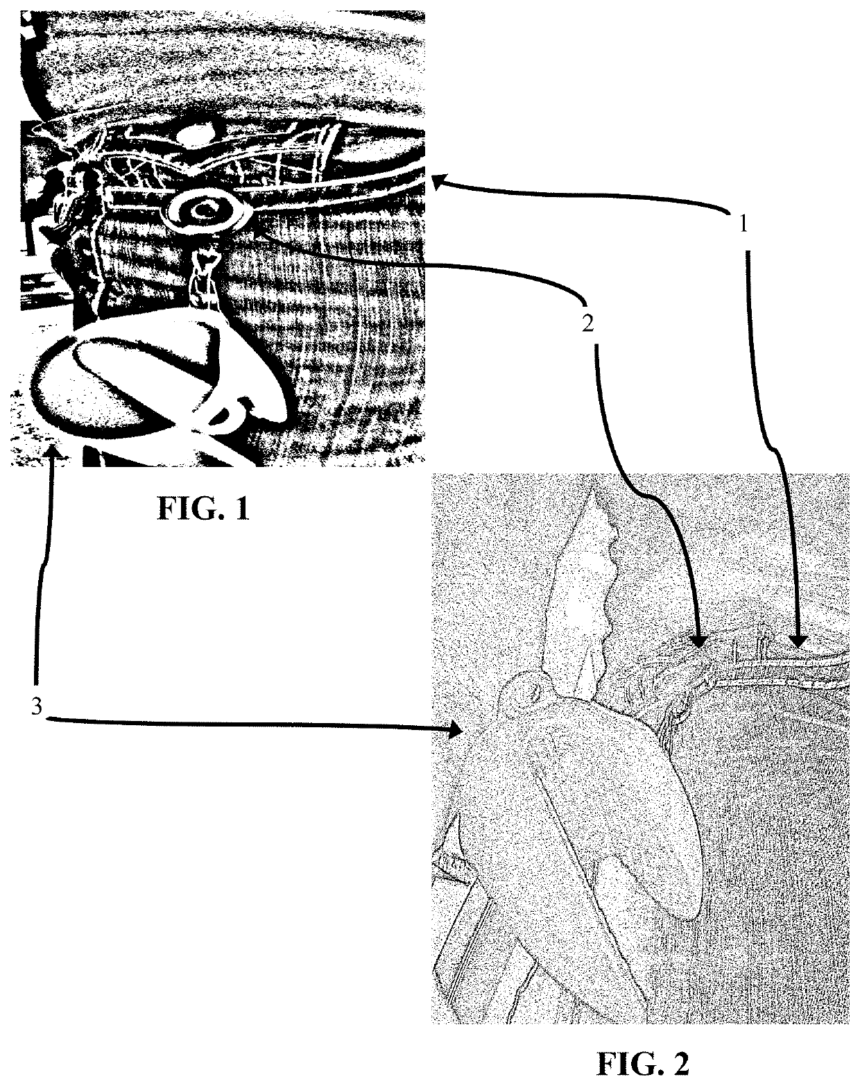 Hand cover apparatus and method of use