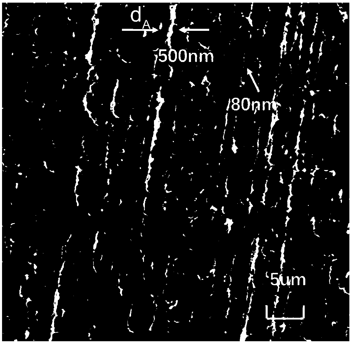 Transparent polylactic acid film as well as preparation method and application thereof