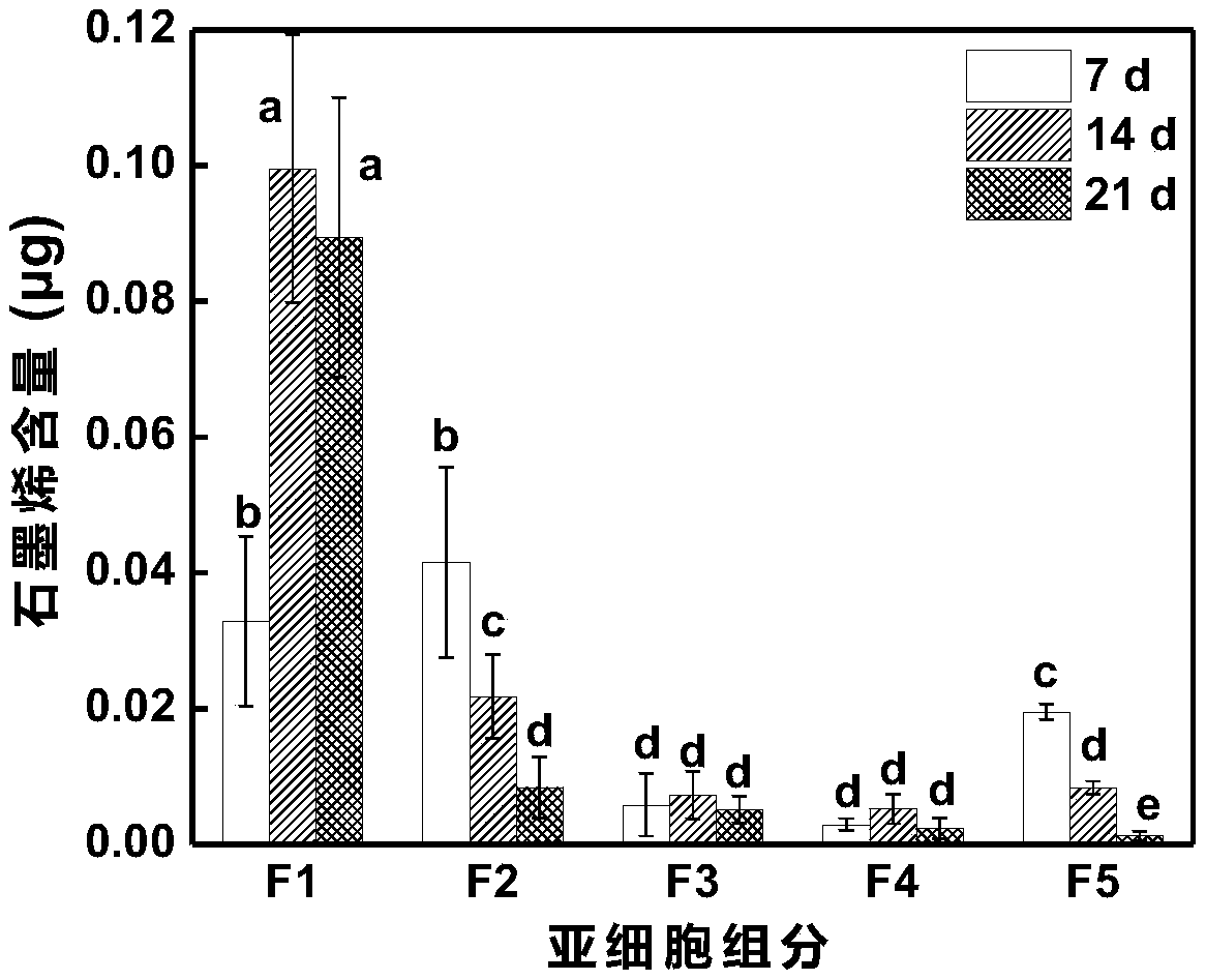 Method for determining subcellular distribution of graphene in rice