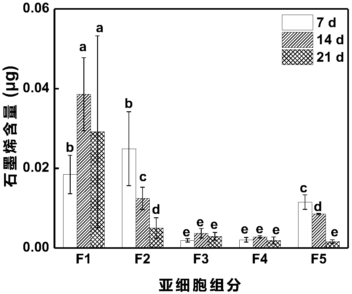 Method for determining subcellular distribution of graphene in rice