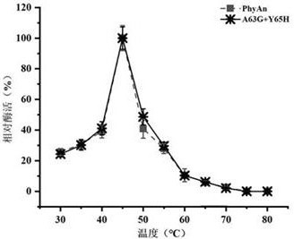 Phytase mutant and preparation method thereof