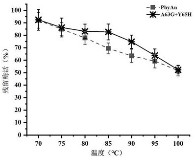 Phytase mutant and preparation method thereof