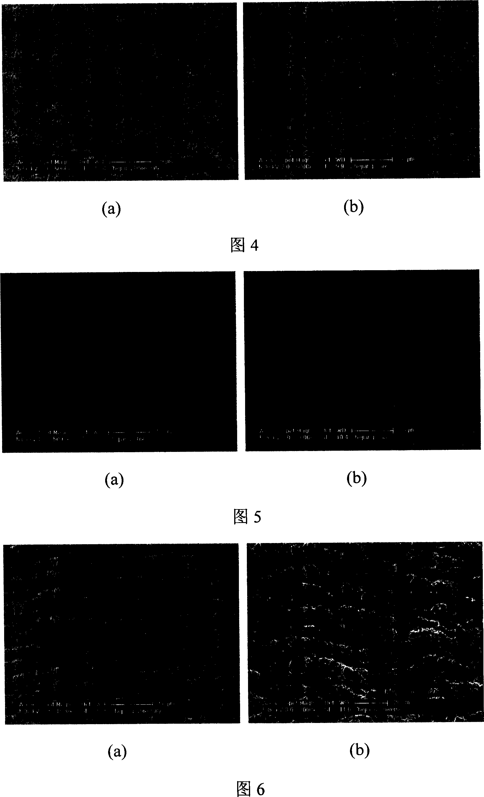 Surface hydrophilicity modification process for separating fluoric polymer film