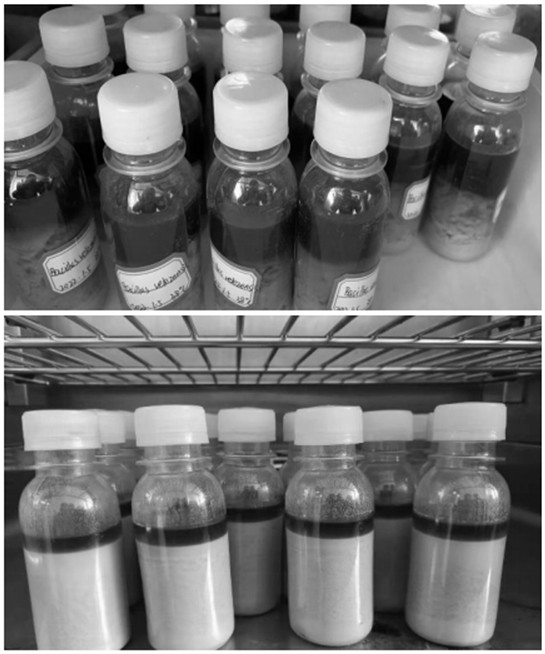 Microbial agent and preparation method thereof