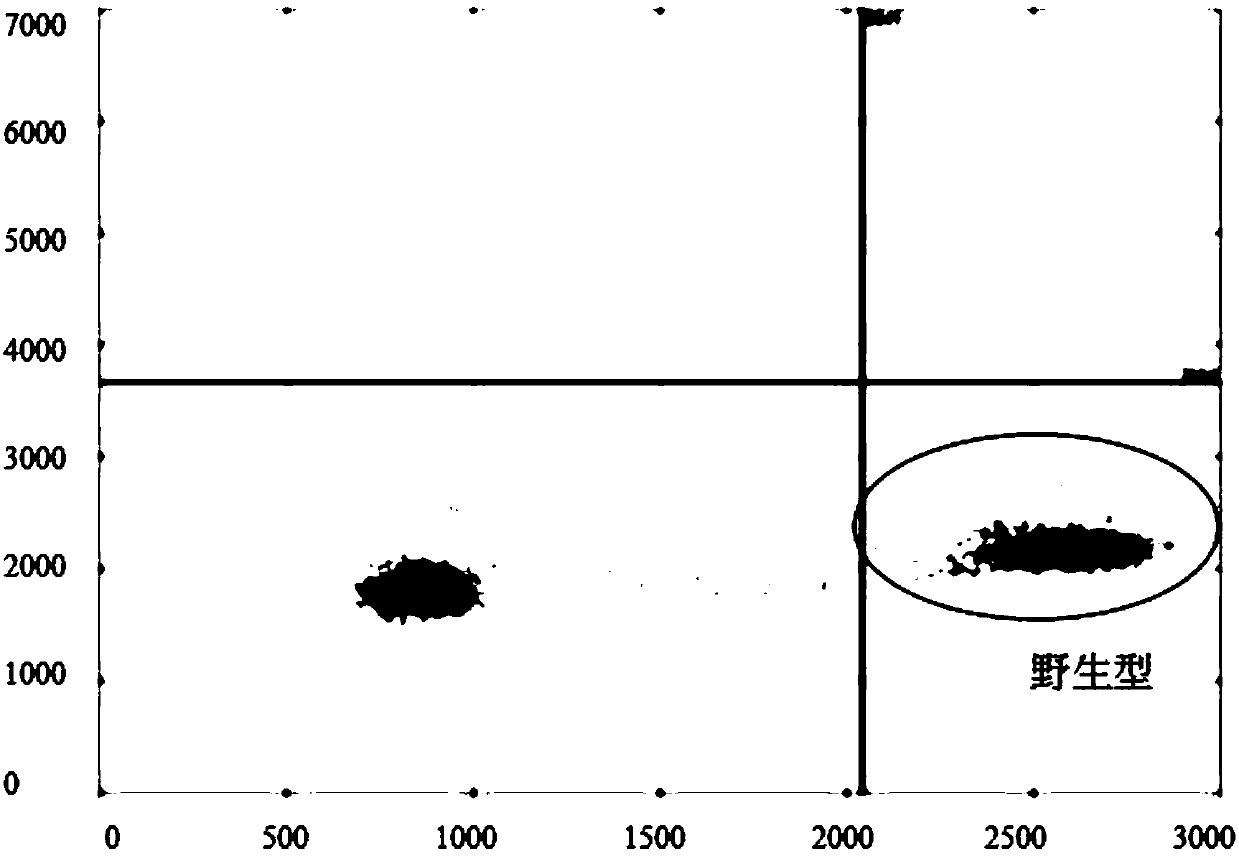 Method for detecting EGFR G719X gene mutation by using digital PCR (polymerase chain reaction) technology