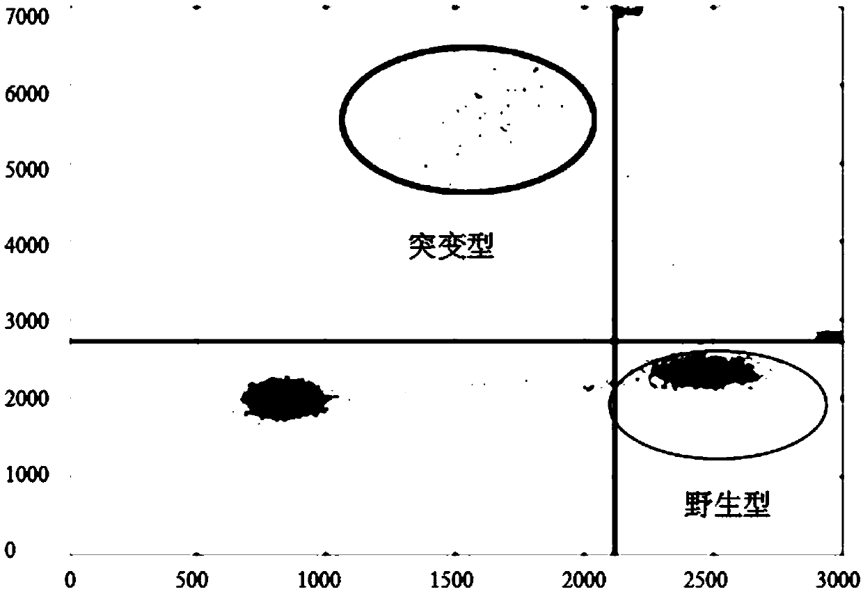 Method for detecting EGFR G719X gene mutation by using digital PCR (polymerase chain reaction) technology