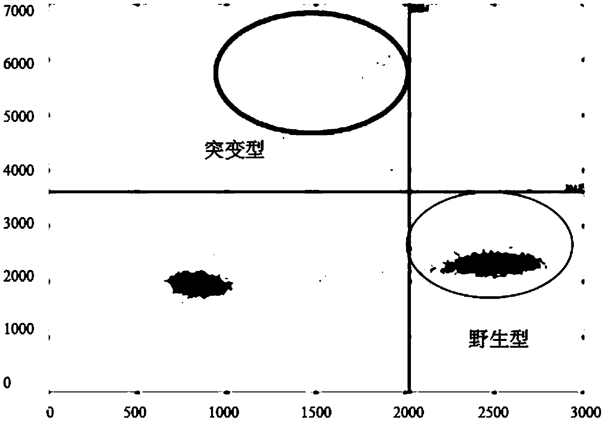 Method for detecting EGFR G719X gene mutation by using digital PCR (polymerase chain reaction) technology