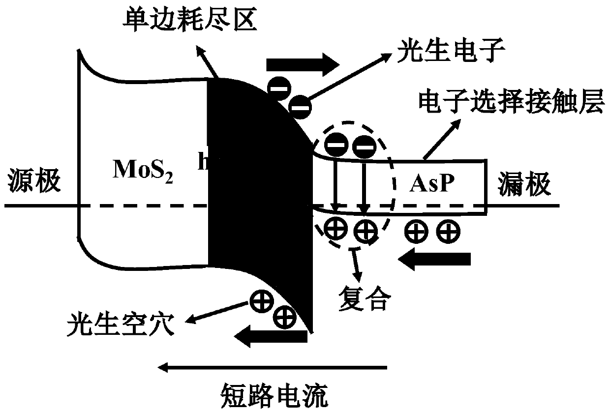 Efficient and rapid Van der Waals heterojunction detector with unilateral depletion region and preparation method