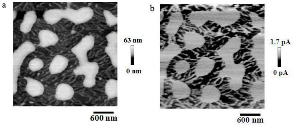 A method for preparing polycarbazole derivative nanofibers