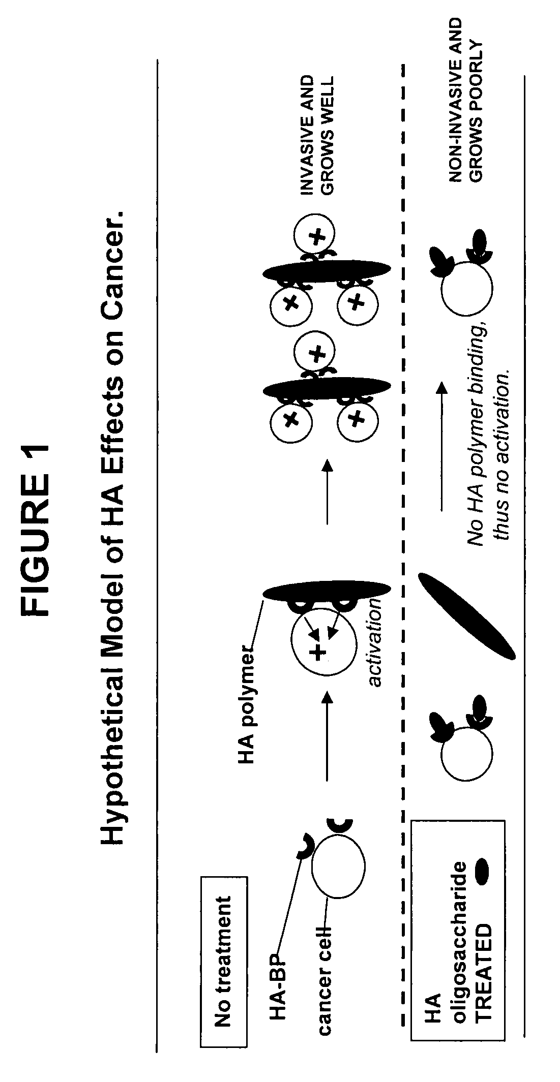 Methods of selectively treating diseases with specific glycosaminoglycan polymers