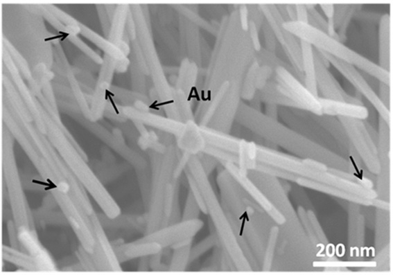 A composite piezoelectric catalyst and its preparation and application