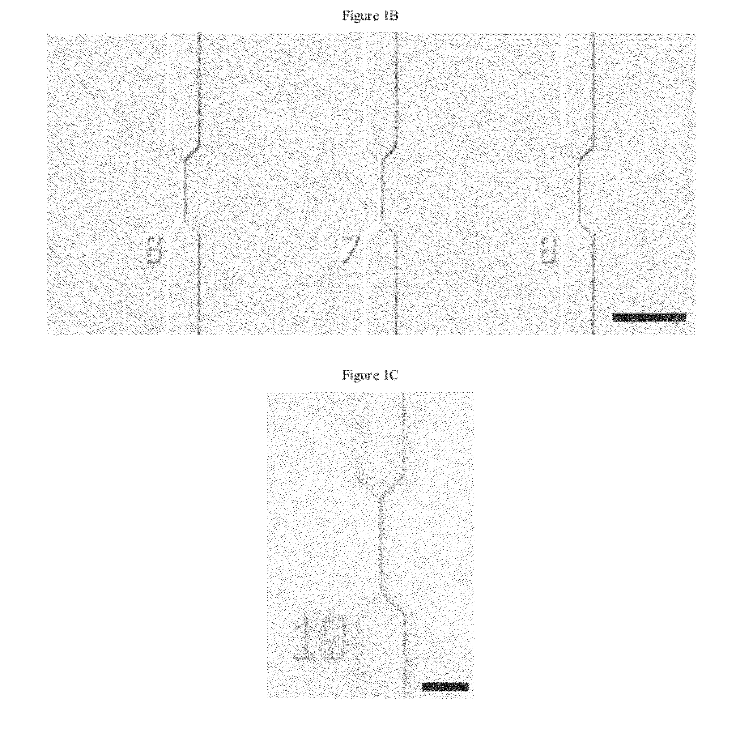 Device and Methods for Epigenetic Analysis