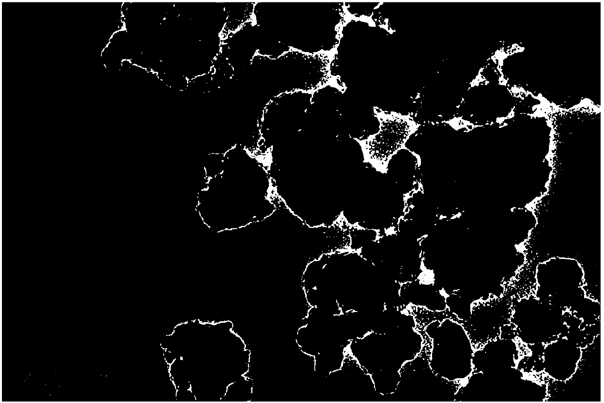 Method for extracting and separating tetracycline antibiotics in milk powder by utilizing metal organic framework-molecular imprinting compound material