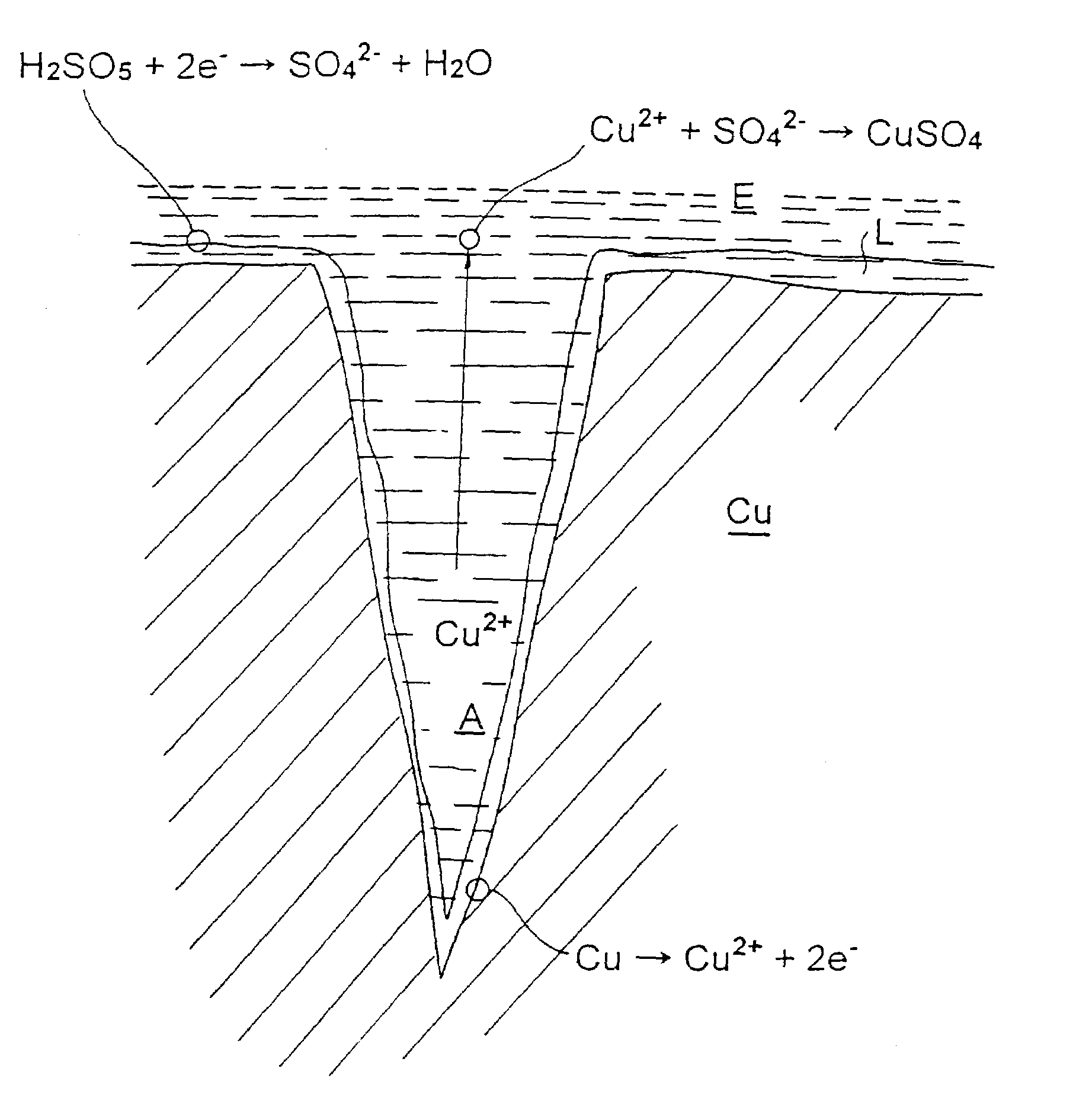Etchant, method for roughening copper surface and method for producing printed wiring board