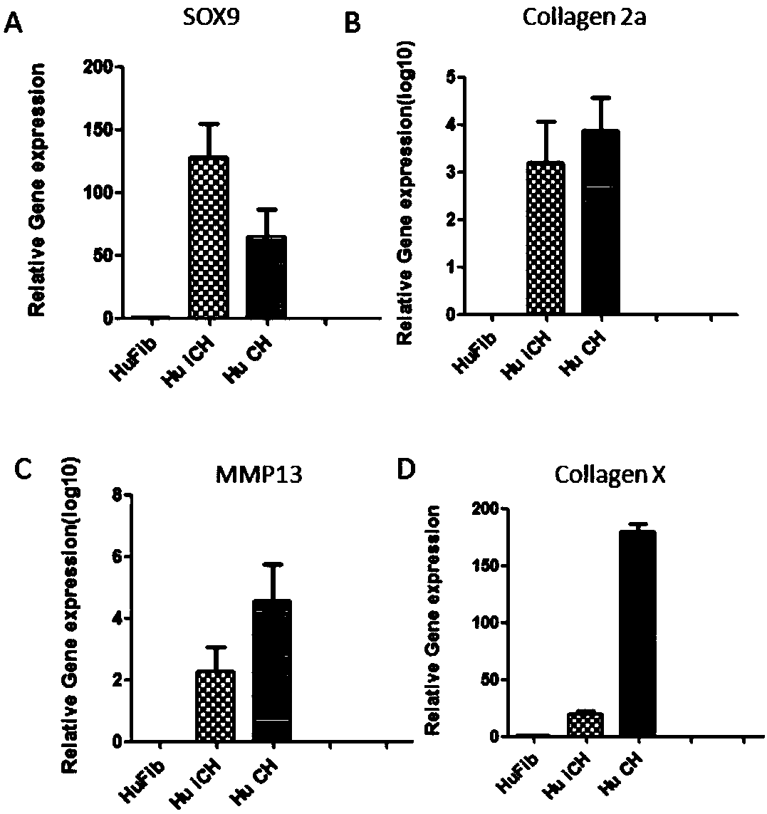 Small-molecular compound combination and method for inducing differentiated cells to prepare chondrocytes by using small-molecular compound combination