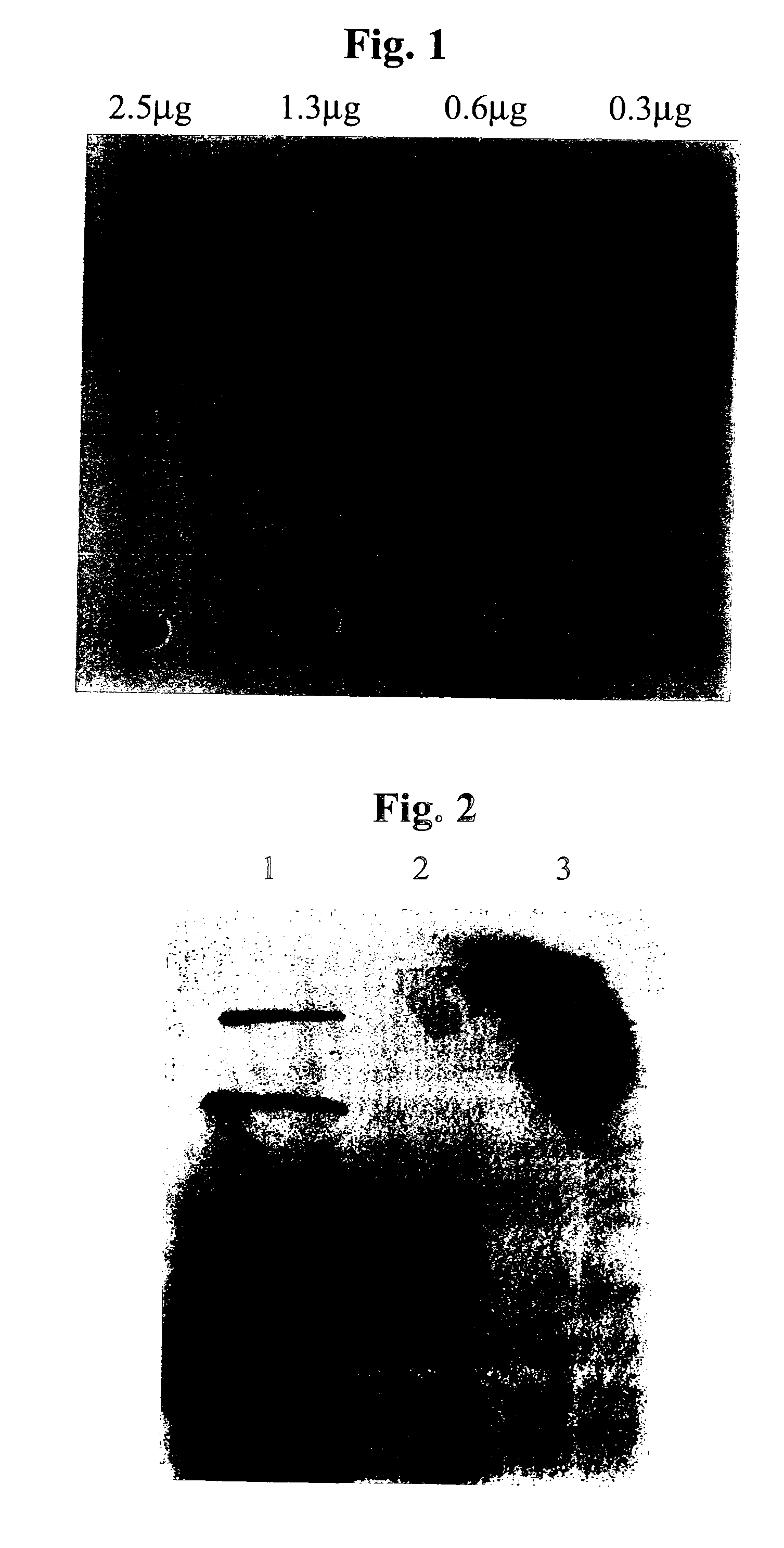 Methods and compounds for the treatment of mucus hypersecretion