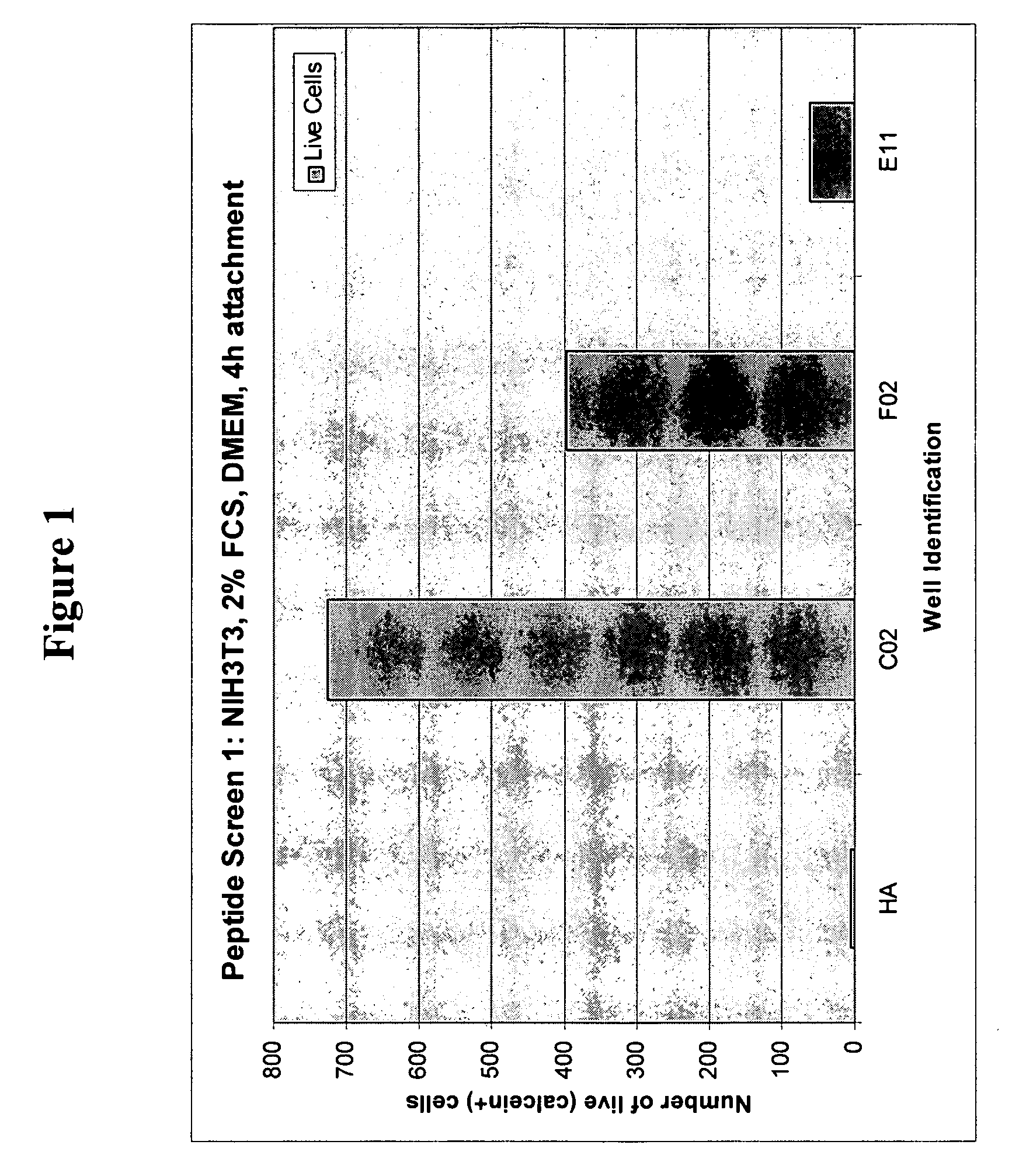 Peptides for enhanced cell attachment and growth