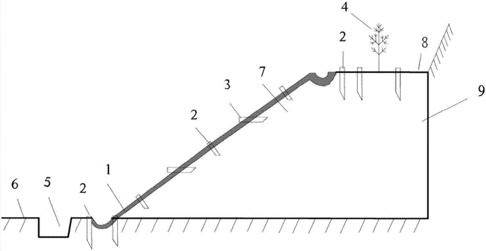 An ecological slope protection structure for ionic rare earth mines