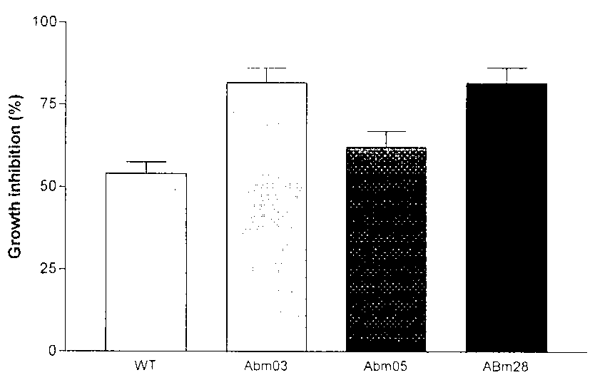 Preparation and application of ribonucleic acid (RNA) polymerase mutant for highly yielding antifungal substance Iturin A