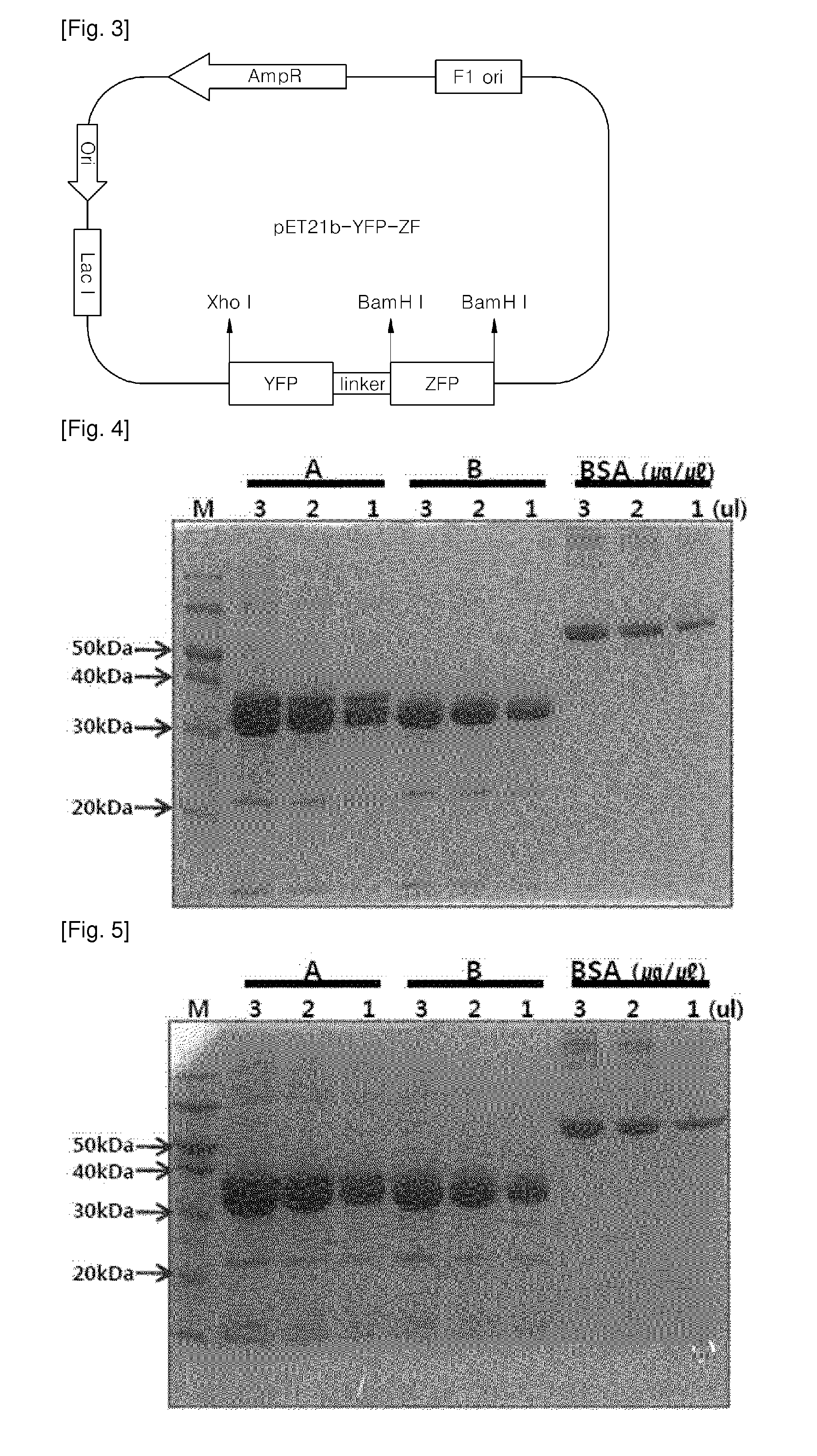 Kit including sequence specific binding protein and method and device for determining nucleotide sequence of target nucleic acid