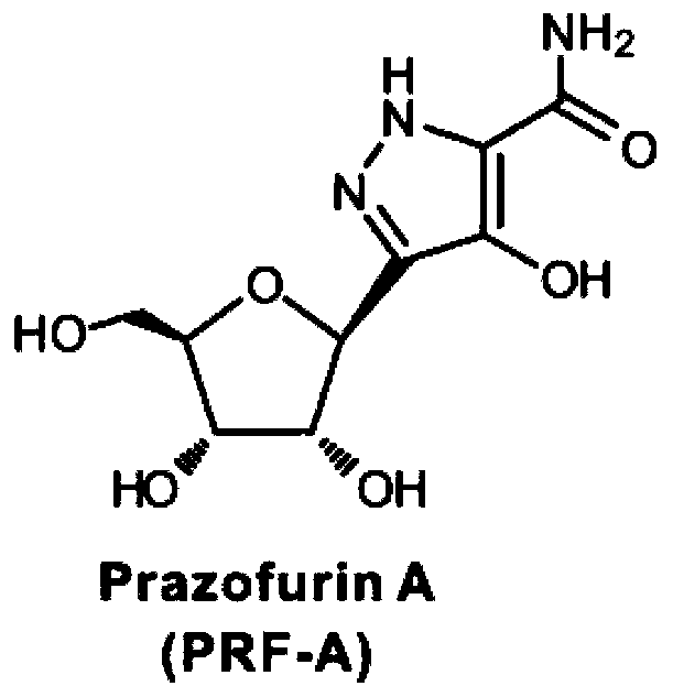 Pyrazomycin biosynthesis gene cluster, recombinant bacteria and application of recombinant bacteria