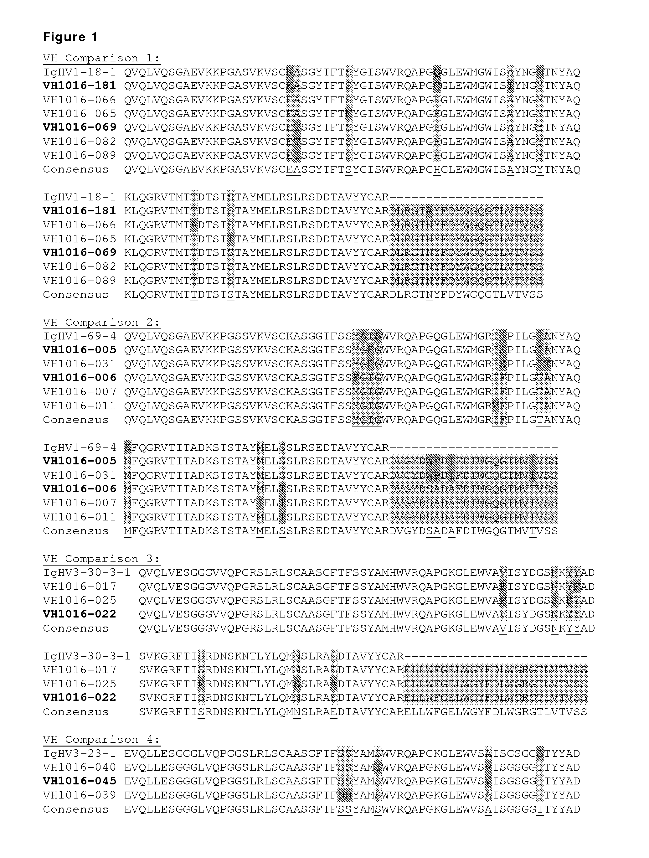 Monoclonal antibodies against c-Met