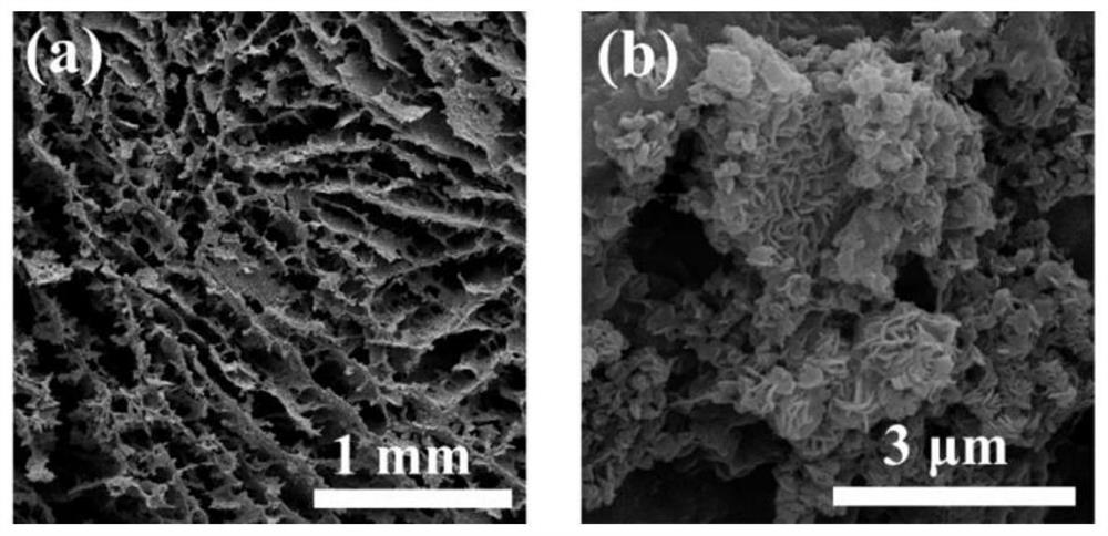 Cross-linked cellulose@molybdenum disulfide aerogel composite adsorbent as well as preparation method and application thereof