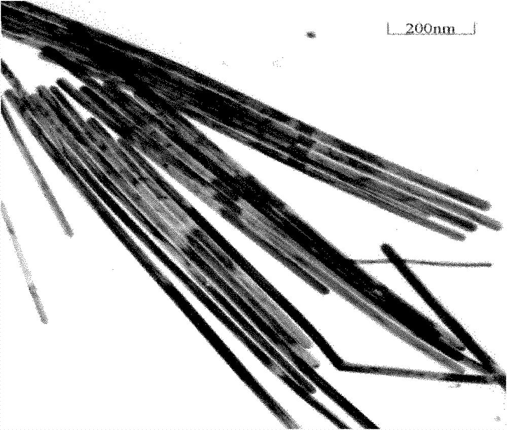 Nano silver capable of being dispersed in hydrophilic system and preparation method thereof