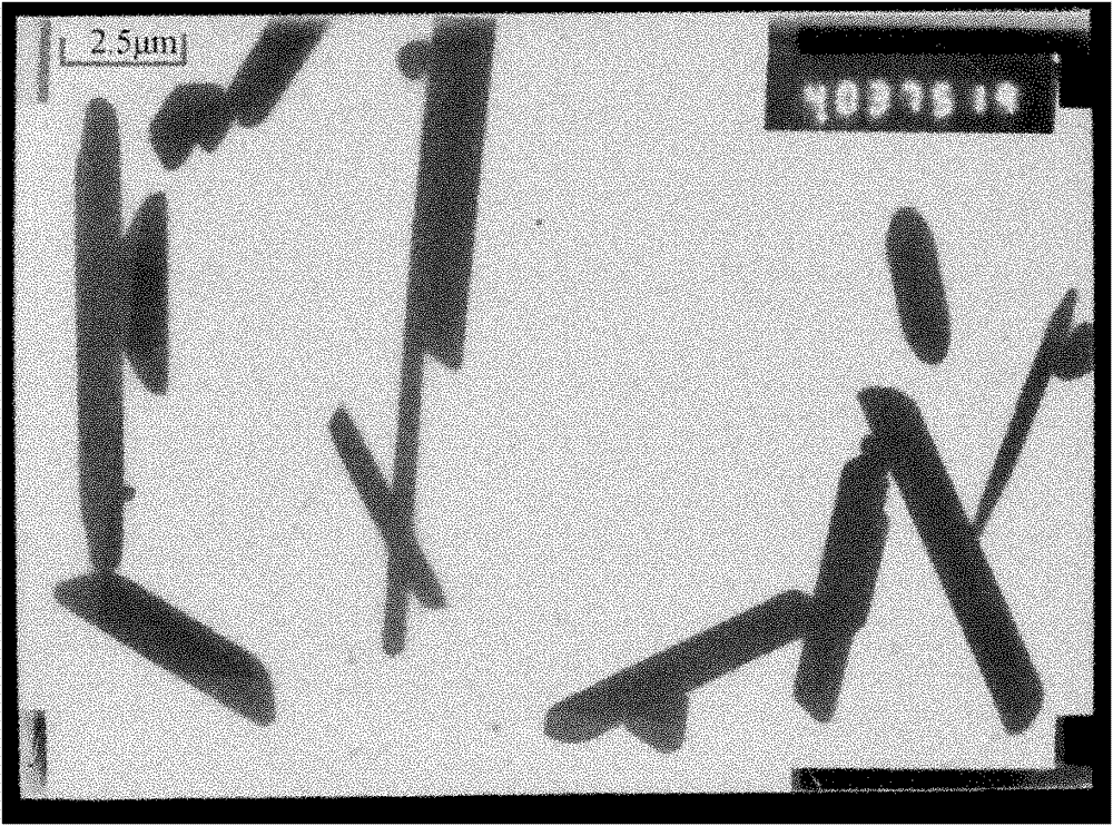 Nano silver capable of being dispersed in hydrophilic system and preparation method thereof