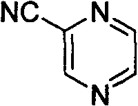 Synthesis method of key intermediate 2-cyanpyrazine of tuberculosis drug pyrazinamide