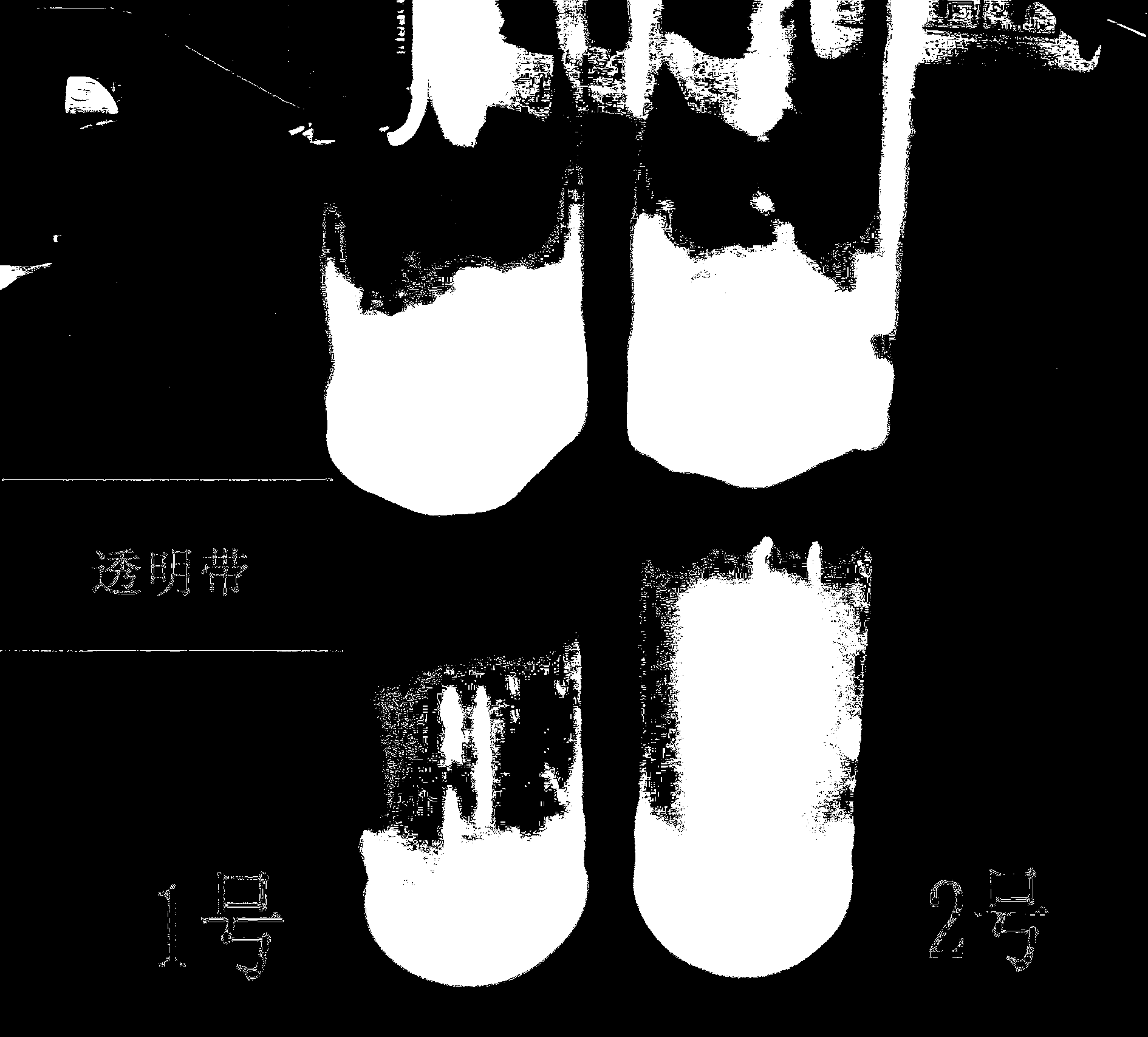 Method for appraising starch decomposition capability of moulds