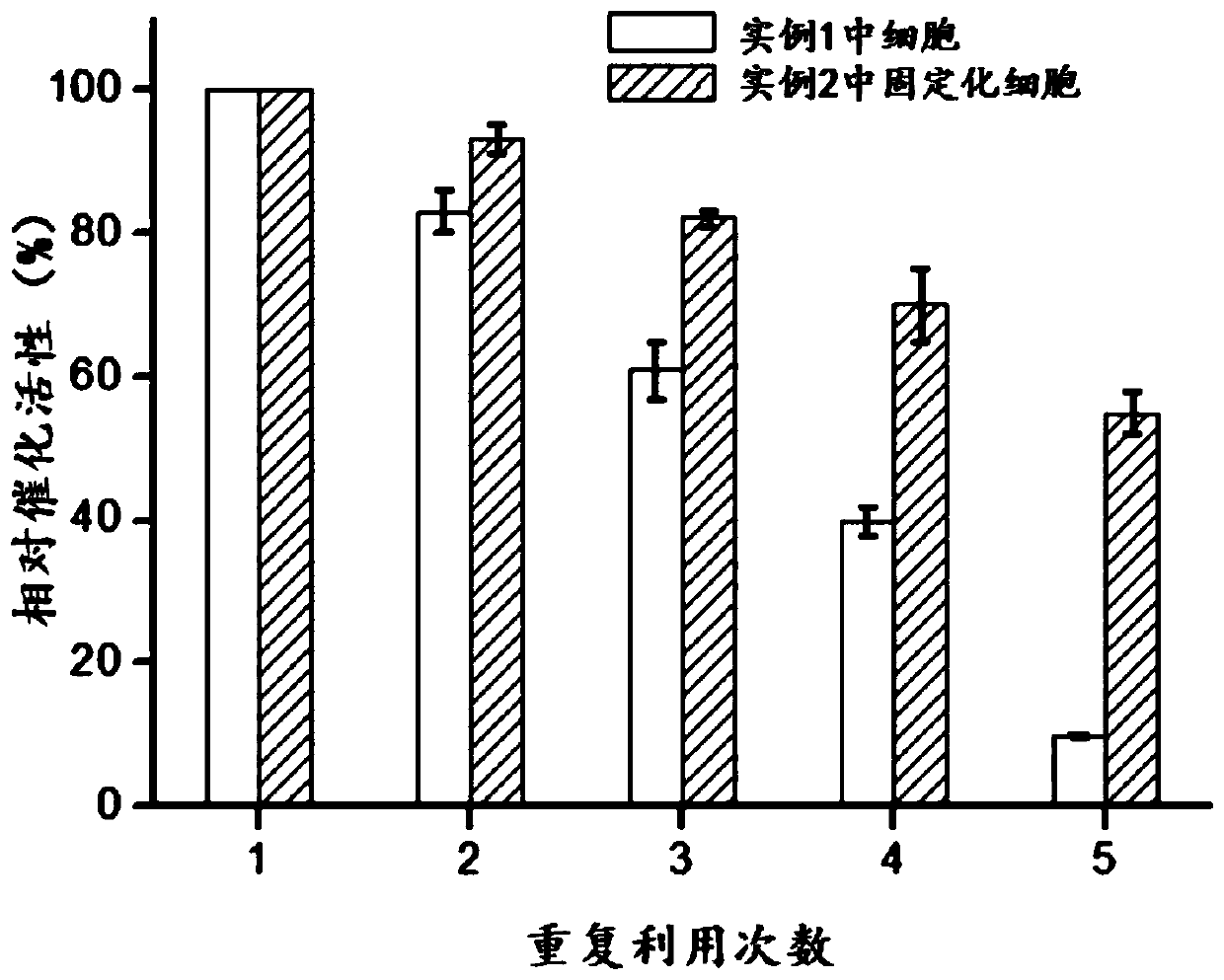 Immobilized whole-cells, preparation method of immobilized whole-cells, and application in production of 3-aminopropionic acid